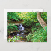 イリノイ州の干上がったロックパーク ポストカード (正面/裏面)