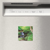 イリノイ州の干上がったロックパーク マグネット (インサイチュ (食洗機))