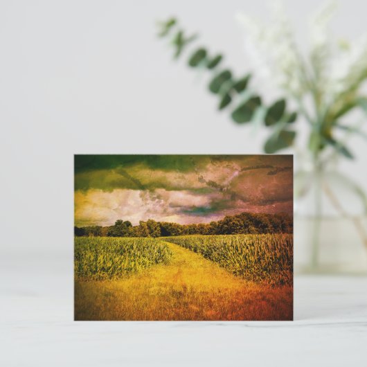 イリノイ州の景観写真 ポストカード (スタンド正面)