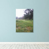 イリノイ州の農業生活 キャンバスプリント (インサイチュ (ウッドフロア))