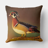 イリノイ州の雄のアヒル クッション (裏面)