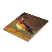 イリノイ州の雄のアヒル タイル (側面)