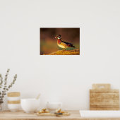 イリノイ州の雄のアヒル ポスター (キッチン)