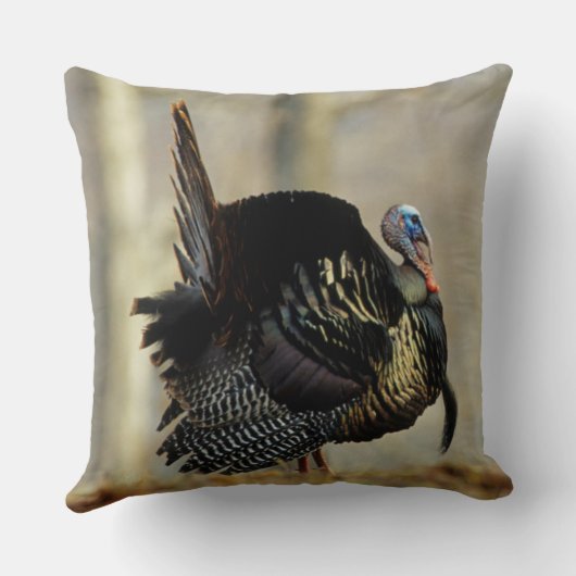 イリノイ州の雄のトルコ クッション (裏面)