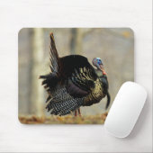 イリノイ州の雄のトルコ マウスパッド (マウス)