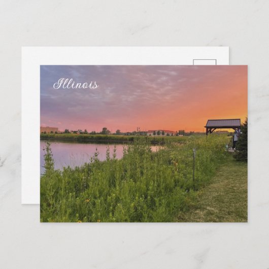 イリノイ州はがき ポストカード (正面/裏面)