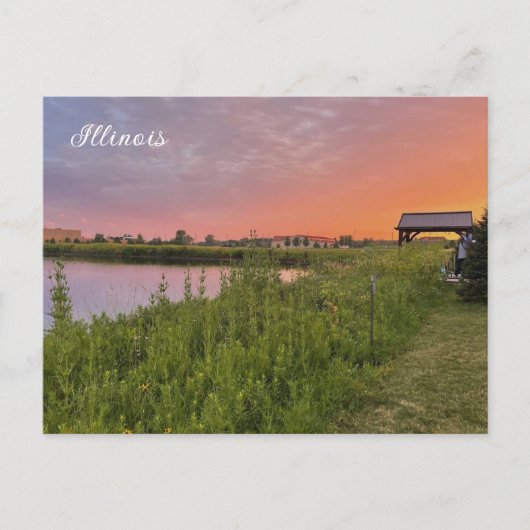 イリノイ州はがき ポストカード (正面)