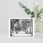 イリノイ州シカゴのリンカーン公園を歩くヴィンテージ ポストカード (スタンド正面)