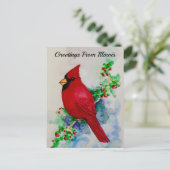 イリノイ州バードハンサム(鳥)ショウジョウコウカンチョウはがき ポストカード (スタンド正面)