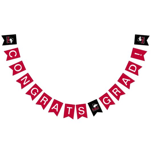 イリノイ州北部|卒業式 バンティングフラッグ (全)