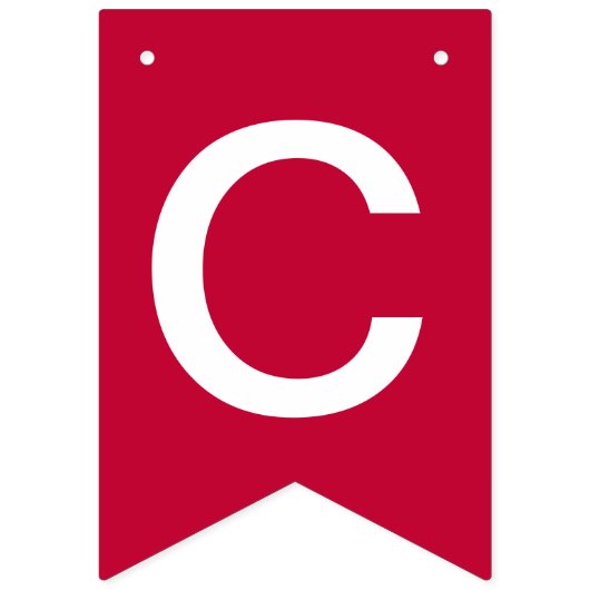 イリノイ州北部|卒業式 バンティングフラッグ (第2の旗)