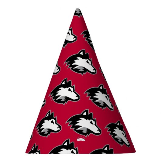 イリノイ州北部|誕生日 パーティーハット (右)