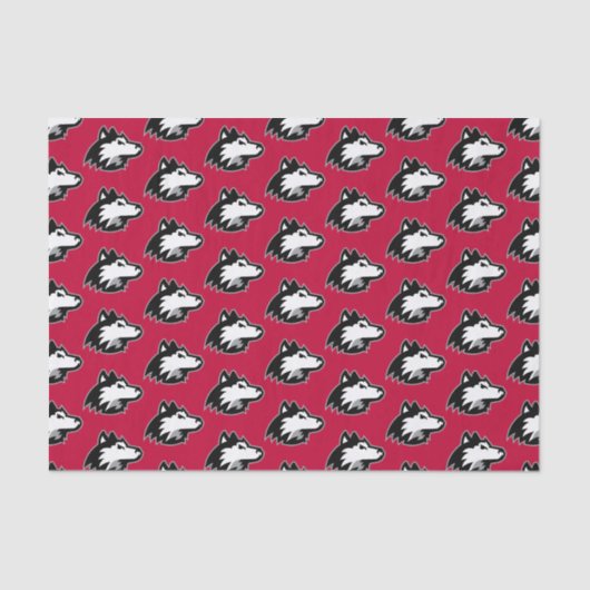 イリノイ州北部|誕生日 薄葉紙 (正面)