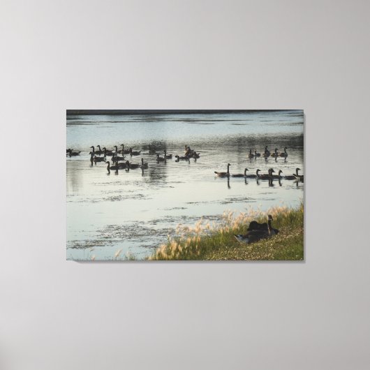 イリノイ州在住 キャンバスプリント (正面)