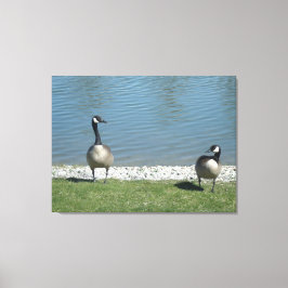 イリノイ州在住 キャンバスプリント