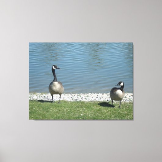 イリノイ州在住 キャンバスプリント (正面)