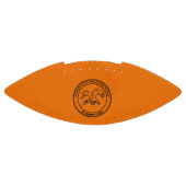 イリノイ州政治家刑務所 アメリカンフットボール (パネル)