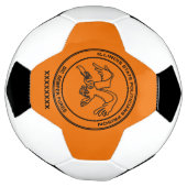 イリノイ州政治家刑務所 サッカーボール (回転)