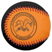 イリノイ州政治家刑務所 ソフトボール (正面左)