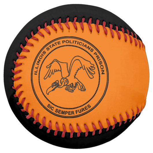 イリノイ州政治家刑務所 ソフトボール (正面左)