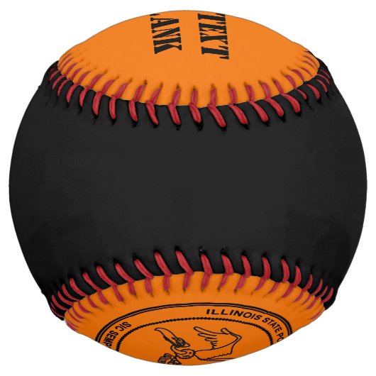 イリノイ州政治家刑務所 ソフトボール (裏面)