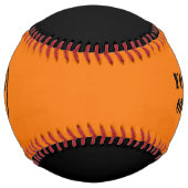 イリノイ州政治家刑務所 ソフトボール (正面)