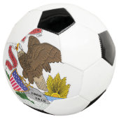 イリノイ州旗 サッカーボール (3/4)