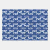 イリノイ州東部ワードマークロゴ ラッピングペーパーシート (正面)