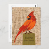 イリノイ州鳥 ポストカード (正面/裏面)