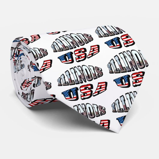 イリノイ米国国旗と州フォト文字 ネクタイ (ロール)