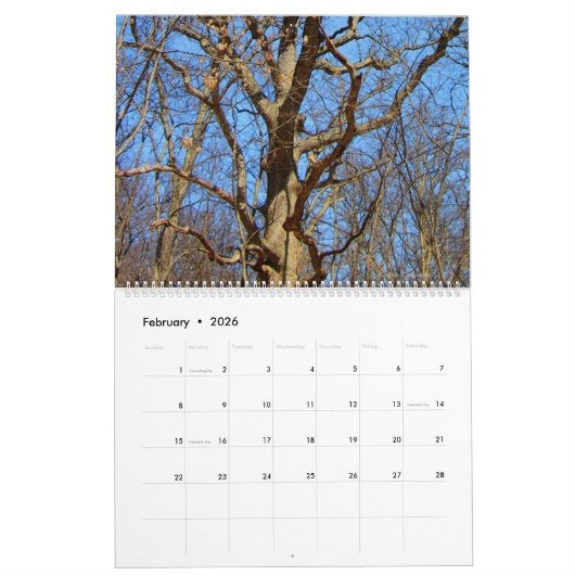 イリノイ美しい2025カレンダー カレンダー (2月 2026)