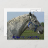 イリノイ美しい ポストカード (正面/裏面)