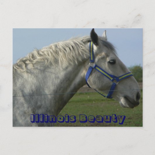 イリノイ美しい ポストカード (正面)