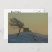 イリノイ雪嵐 ポストカード (正面/裏面)