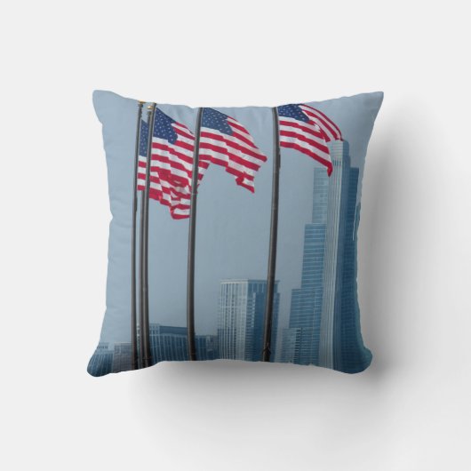 イリノイ、シカゴ。 海軍桟橋、米国は飛行に印を付けます クッション (裏面)