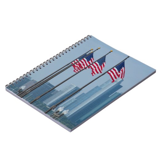 イリノイ、シカゴ。 海軍桟橋、米国は飛行に印を付けます ノートブック (左側)