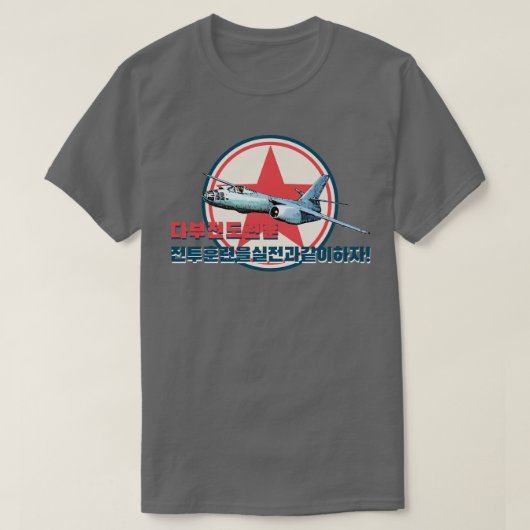 イリュウシンIl-28 Tシャツ (デザイン正面)