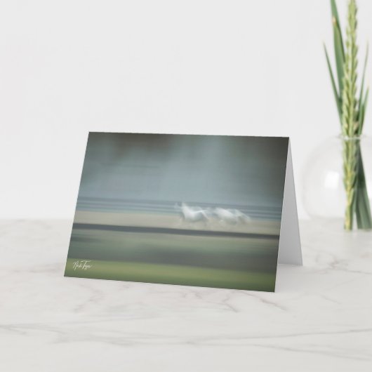 イリュージョンウマ科のメモカード サンキューカード (正面)