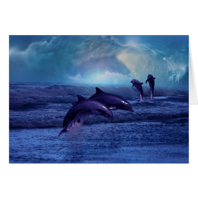 イルカおもしろい遊と (正面横)