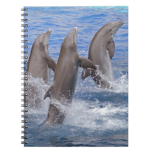 イルカが水面から立ち上がる ノートブック (正面)