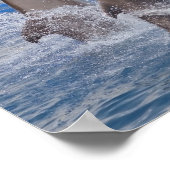 イルカが水面から立ち上がる ポスター (角)