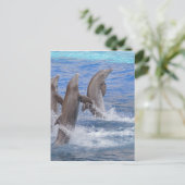 イルカが水面から立ち上がる ポストカード (スタンド正面)