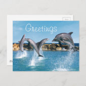 イルカが泳いでトリックをする ポストカード (正面/裏面)