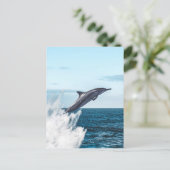 イルカが海から飛び出した ポストカード (スタンド正面)