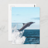 イルカが海から飛び出した ポストカード (正面/裏面)