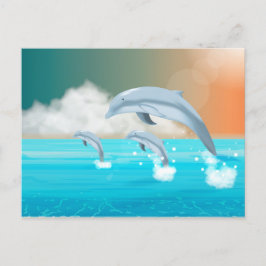 イルカが海に群がる ポストカード