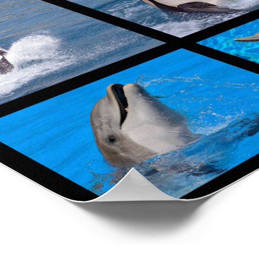 イルカとシャチ ポスター (角)