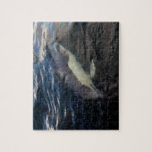 イルカと一緒に泳ぐ　海洋野生生物写真撮影 ジグソーパズル (縦)