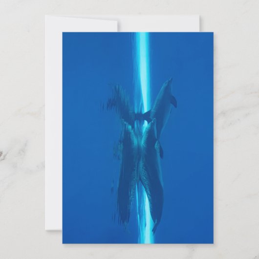 イルカと反射の青い海の海 招待状 (正面)