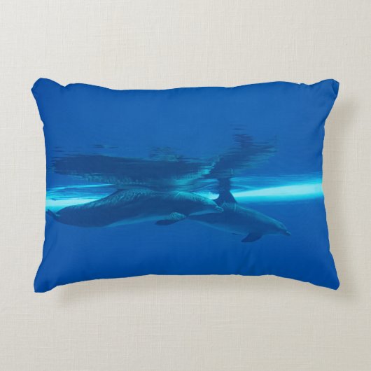 イルカと反射 アクセントクッション (正面)